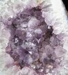 Tall Amethyst Cathedral ( lbs) - Brazil (Clearance Price) #34443-1